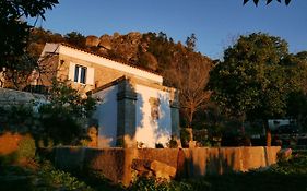 Quinta De Sao Pedro De Vir-A-Corca Em Monsanto