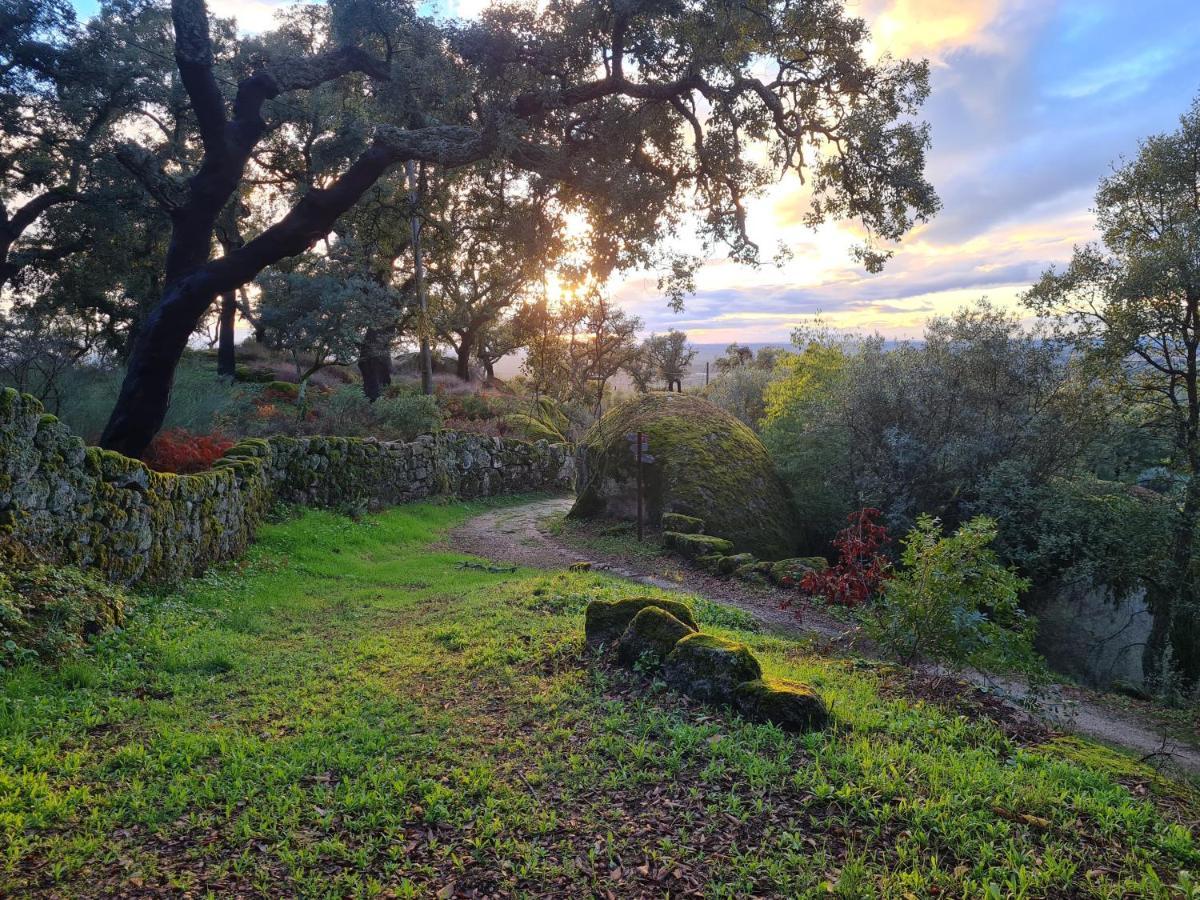 Quinta De Sao Pedro De Vir-A-Corca Em Monsanto Bed & Breakfast Exterior photo